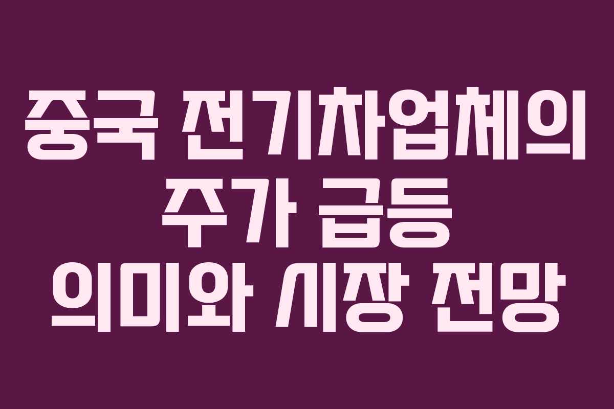 중국 전기차업체의 주가 급등 의미와 시장 전망