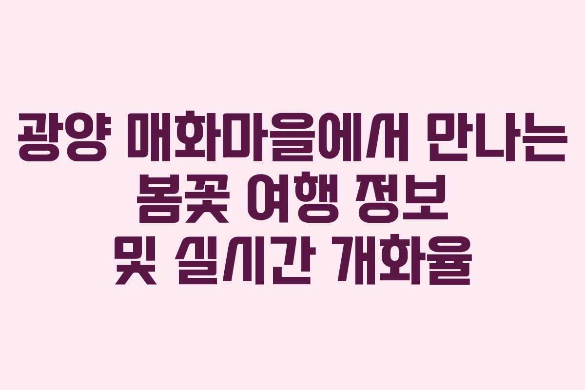광양 매화마을에서 만나는 봄꽃 여행 정보 및 실시간 개화율