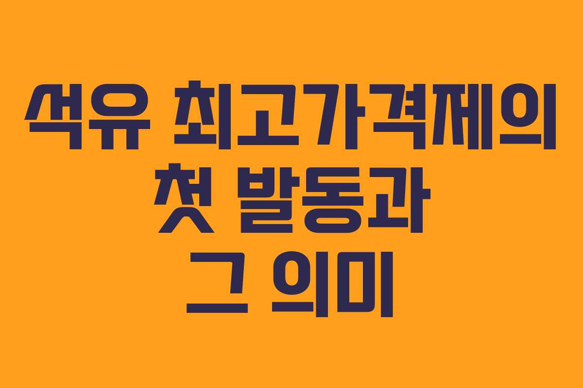 석유 최고가격제의 첫 발동과 그 의미