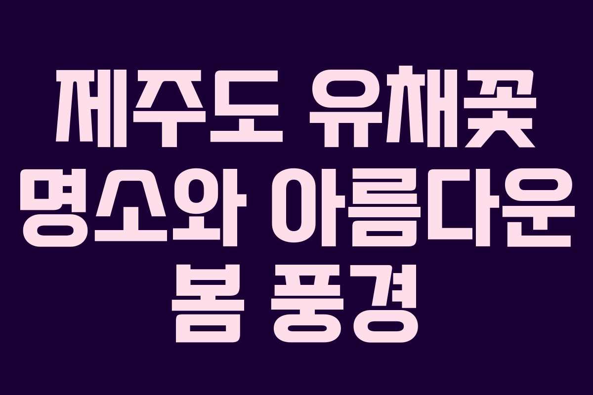 제주도 유채꽃 명소와 아름다운 봄 풍경