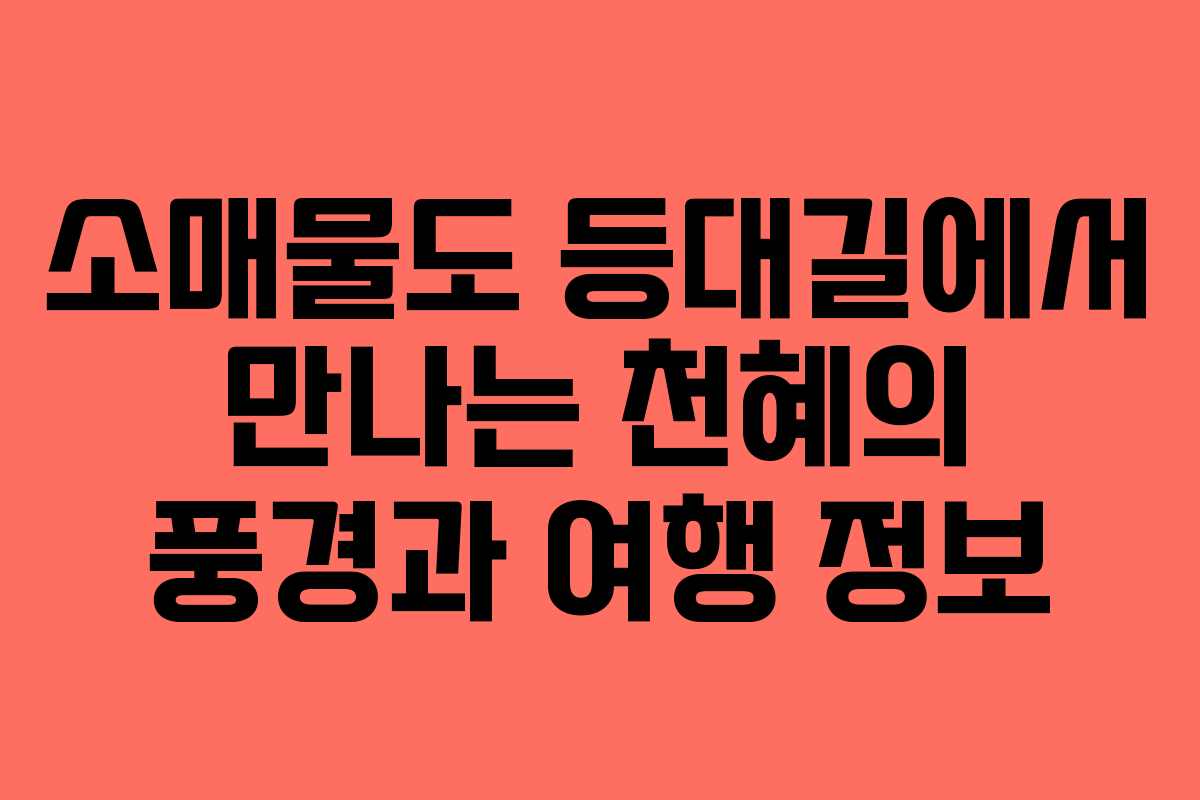소매물도 등대길에서 만나는 천혜의 풍경과 여행 정보