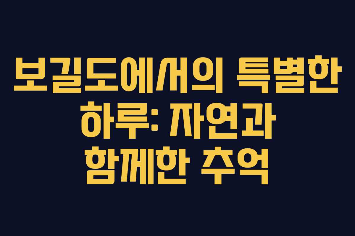 보길도에서의 특별한 하루: 자연과 함께한 추억