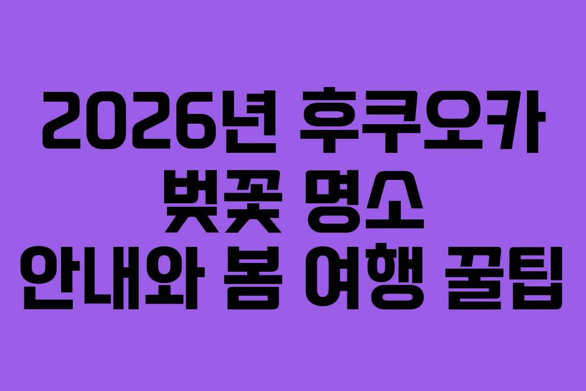 2026년 후쿠오카 벚꽃 명소 안내와 봄 여행 꿀팁