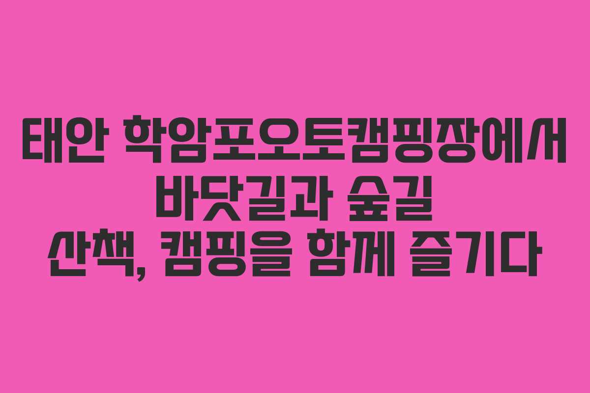 태안 학암포오토캠핑장에서 바닷길과 숲길 산책, 캠핑을 함께 즐기다