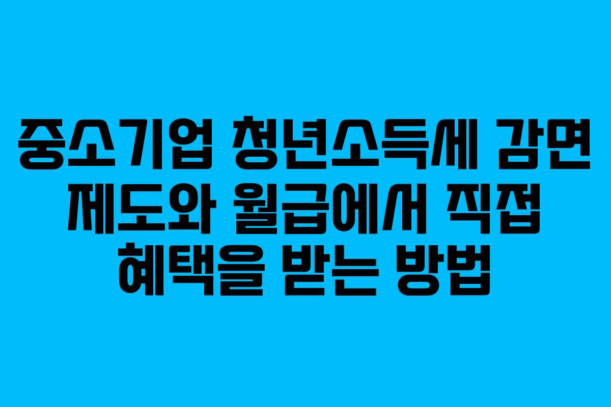 중소기업 청년소득세 감면 제도와 월급에서 직접 혜택을 받는 방법