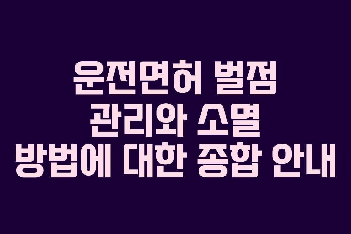 운전면허 벌점 관리와 소멸 방법에 대한 종합 안내