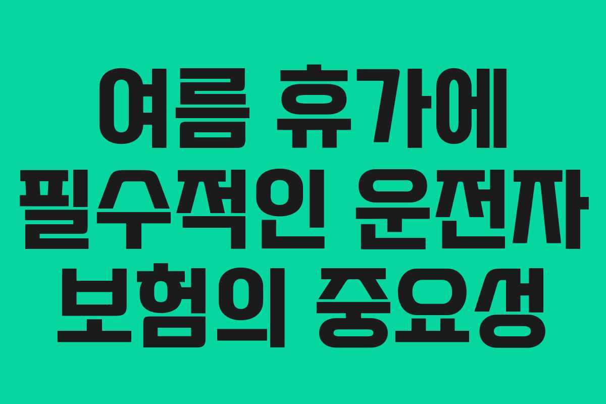 여름 휴가에 필수적인 운전자 보험의 중요성