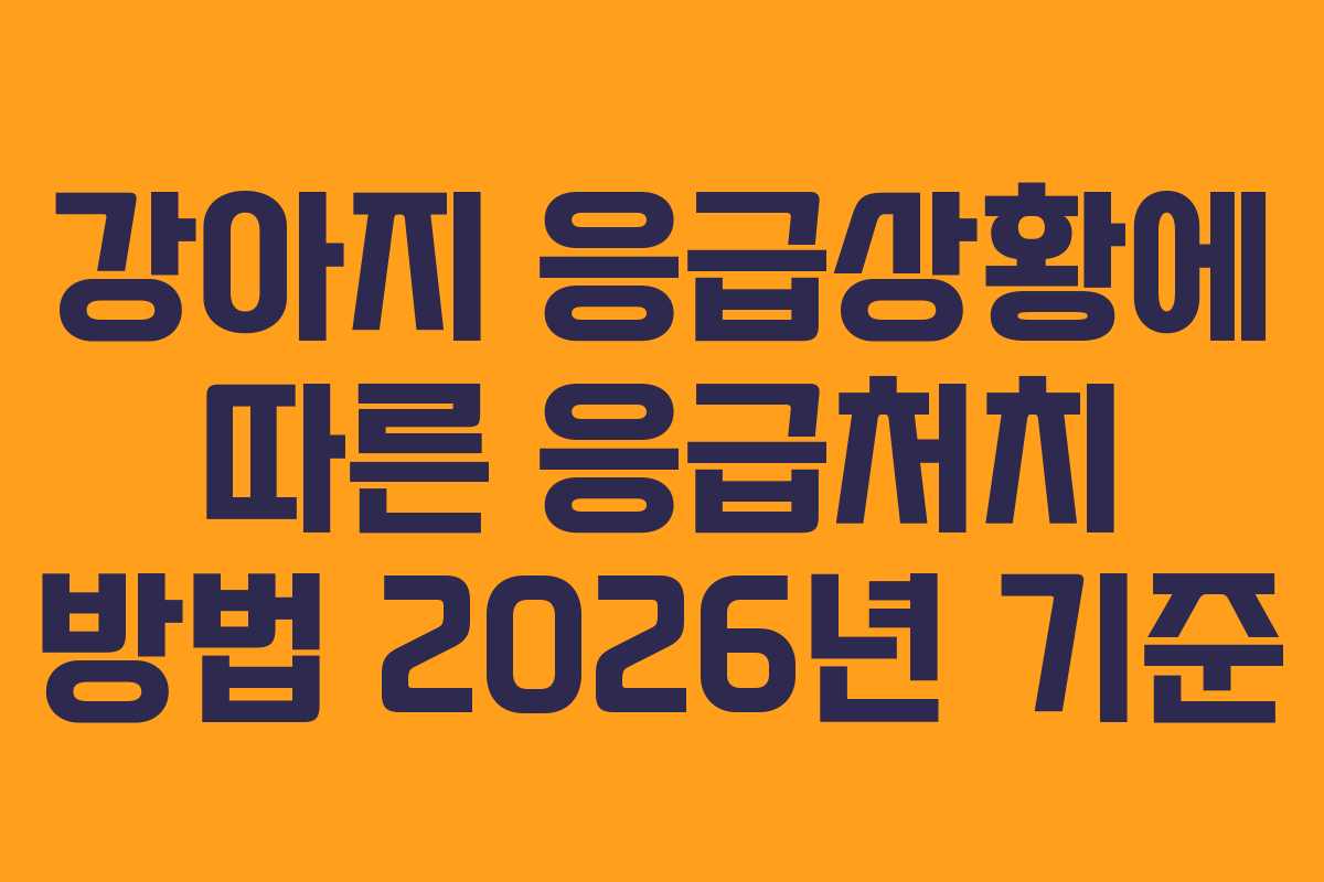강아지 응급상황에 따른 응급처치 방법 2026년 기준