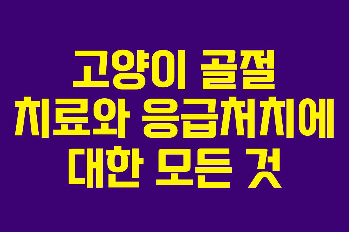 고양이 골절 치료와 응급처치에 대한 모든 것