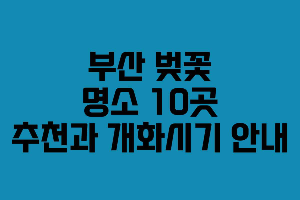 부산 벚꽃 명소 10곳 추천과 개화시기 안내