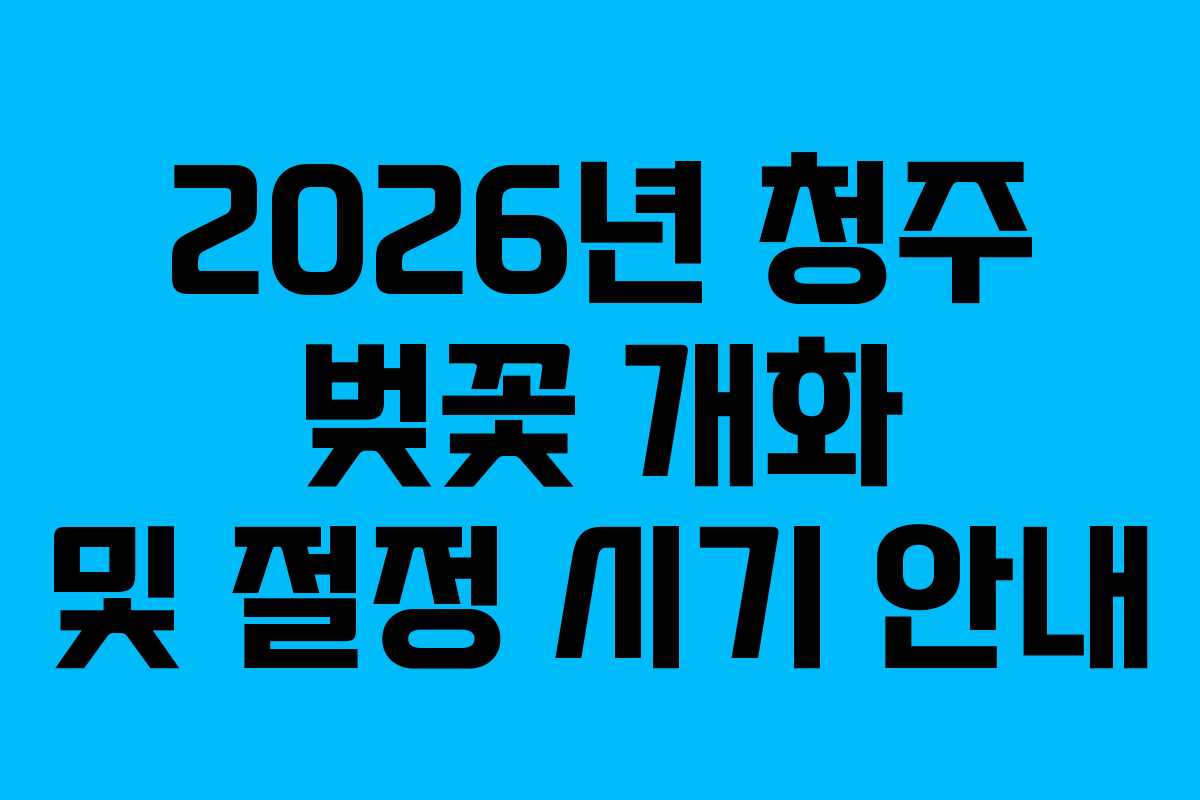 2026년 청주 벚꽃 개화 및 절정 시기 안내