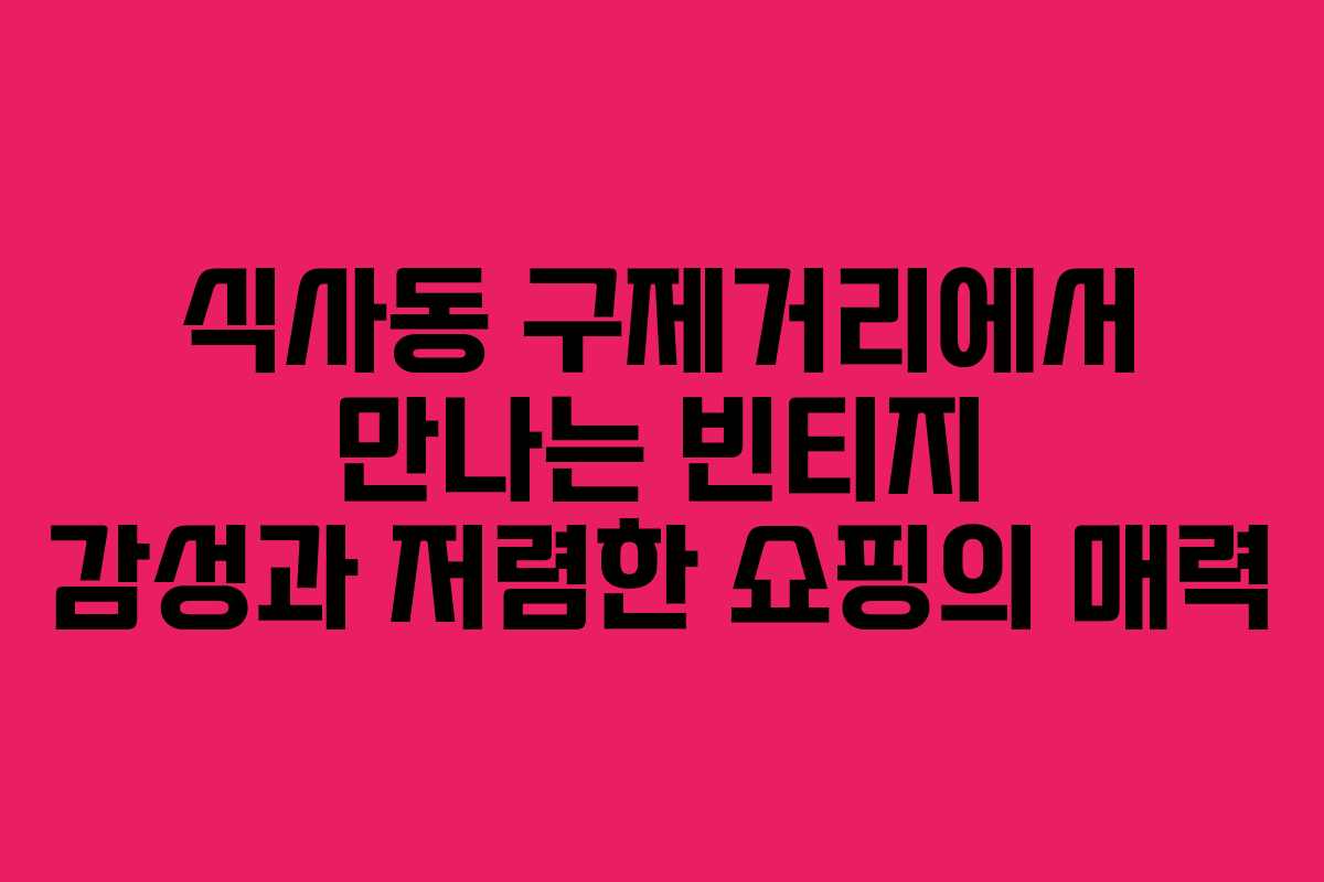 식사동 구제거리에서 만나는 빈티지 감성과 저렴한 쇼핑의 매력