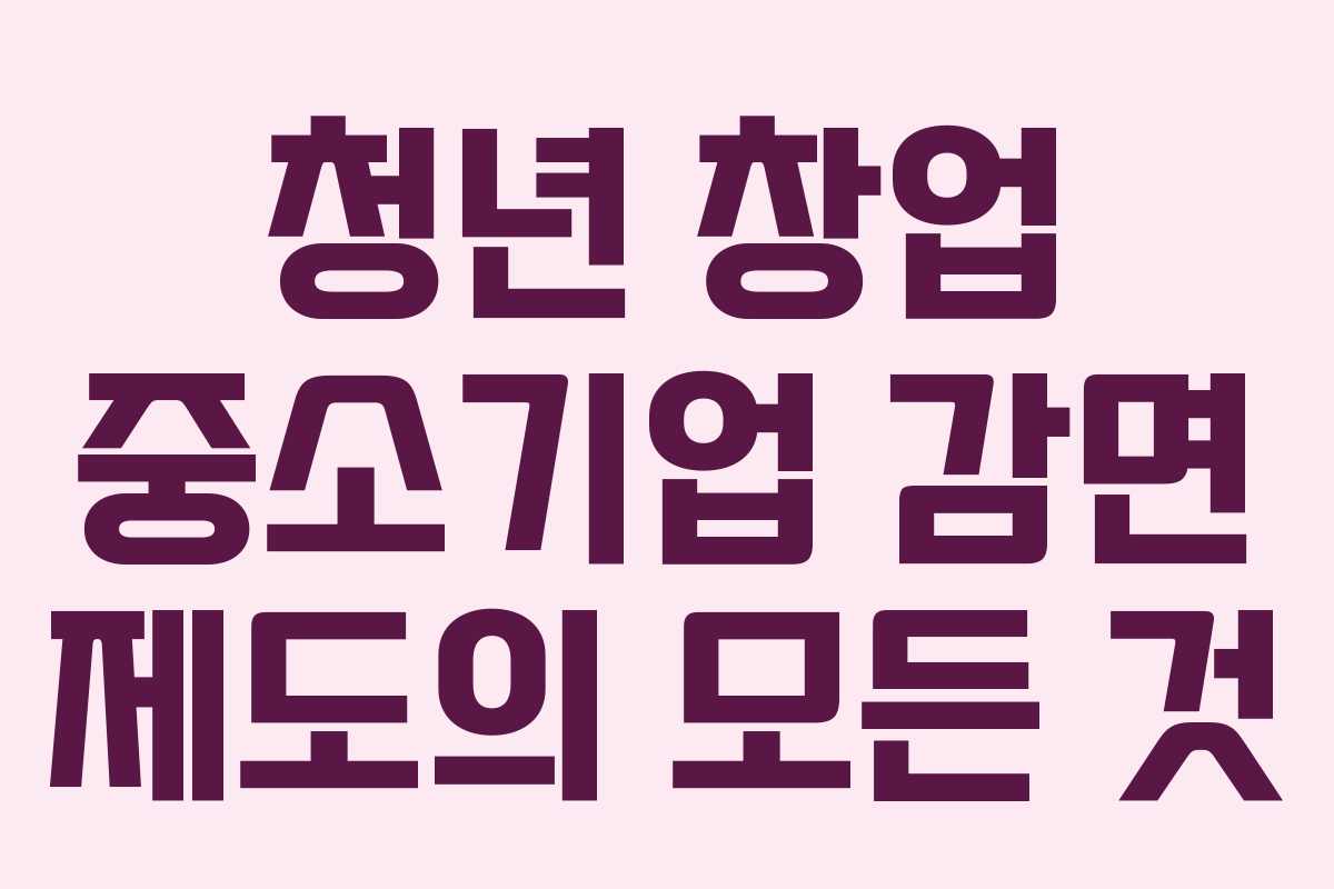 청년 창업 중소기업 감면 제도의 모든 것 청년 창업 중소기업 감면 제도의 모든 것