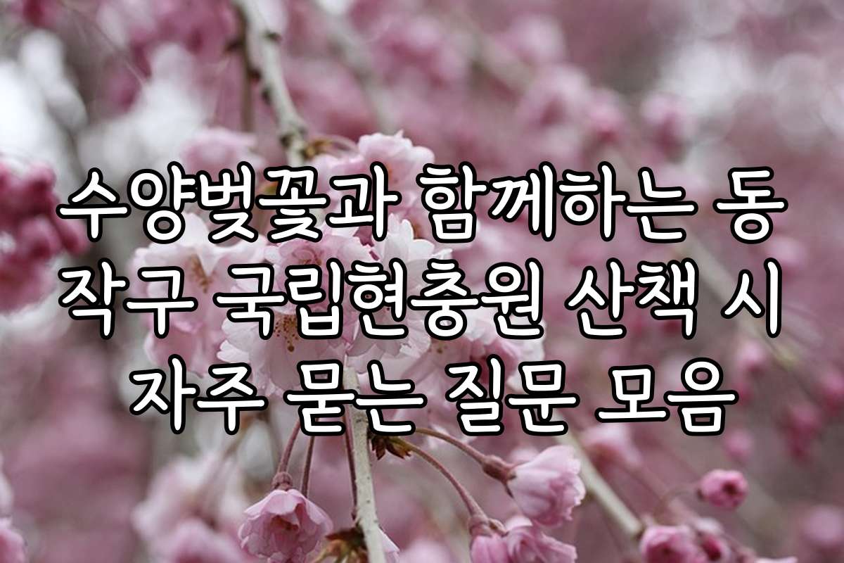 수양벚꽃과 함께하는 동작구 국립현충원 산책 시 자주 묻는 질문 모음