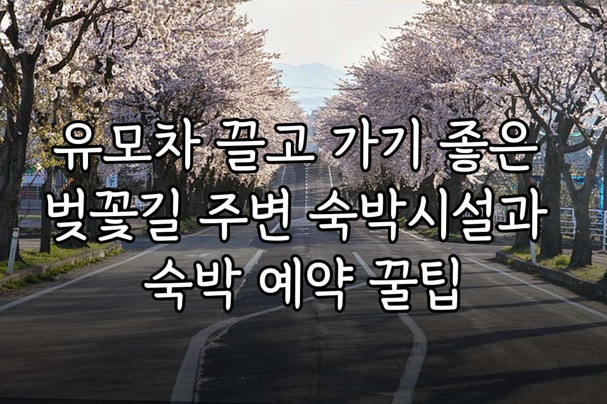 유모차 끌고 가기 좋은 벚꽃길 주변 숙박시설과 숙박 예약 꿀팁
