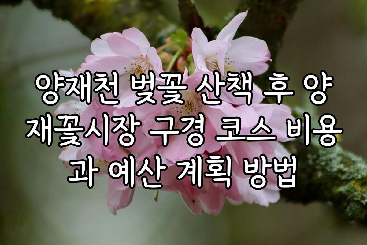 양재천 벚꽃 산책 후 양재꽃시장 구경 코스 비용과 예산 계획 방법 양재천 벚꽃 산책 후 양재꽃시장 구경 코스 비용과 예산 계획 방법