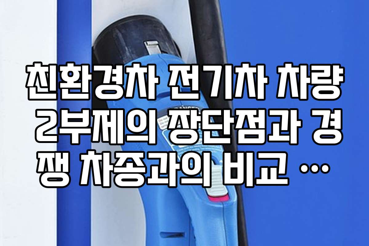 친환경차 전기차 차량 2부제의 장단점과 경쟁 차종과의 비교 분석을 해본다