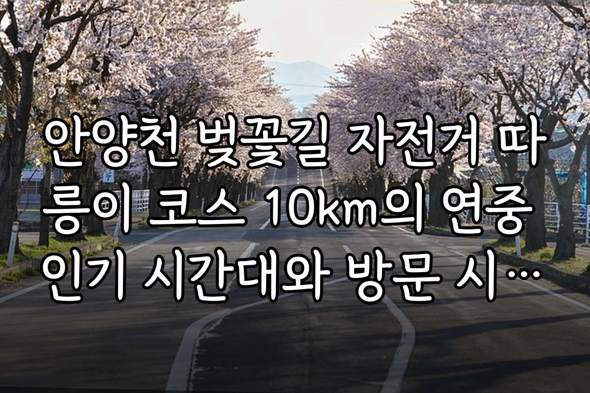 안양천 벚꽃길 자전거 따릉이 코스 10km의 연중 인기 시간대와 방문 시기 추천