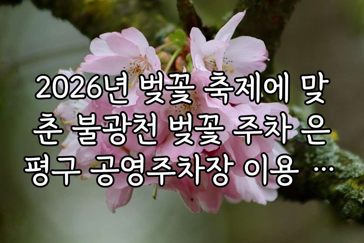2026년 벚꽃 축제에 맞춘 불광천 벚꽃 주차 은평구 공영주차장 이용 가이드 2026년 벚꽃 축제에 맞춘 불광천 벚꽃 주차 은평구 공영주차장 이용 가이드