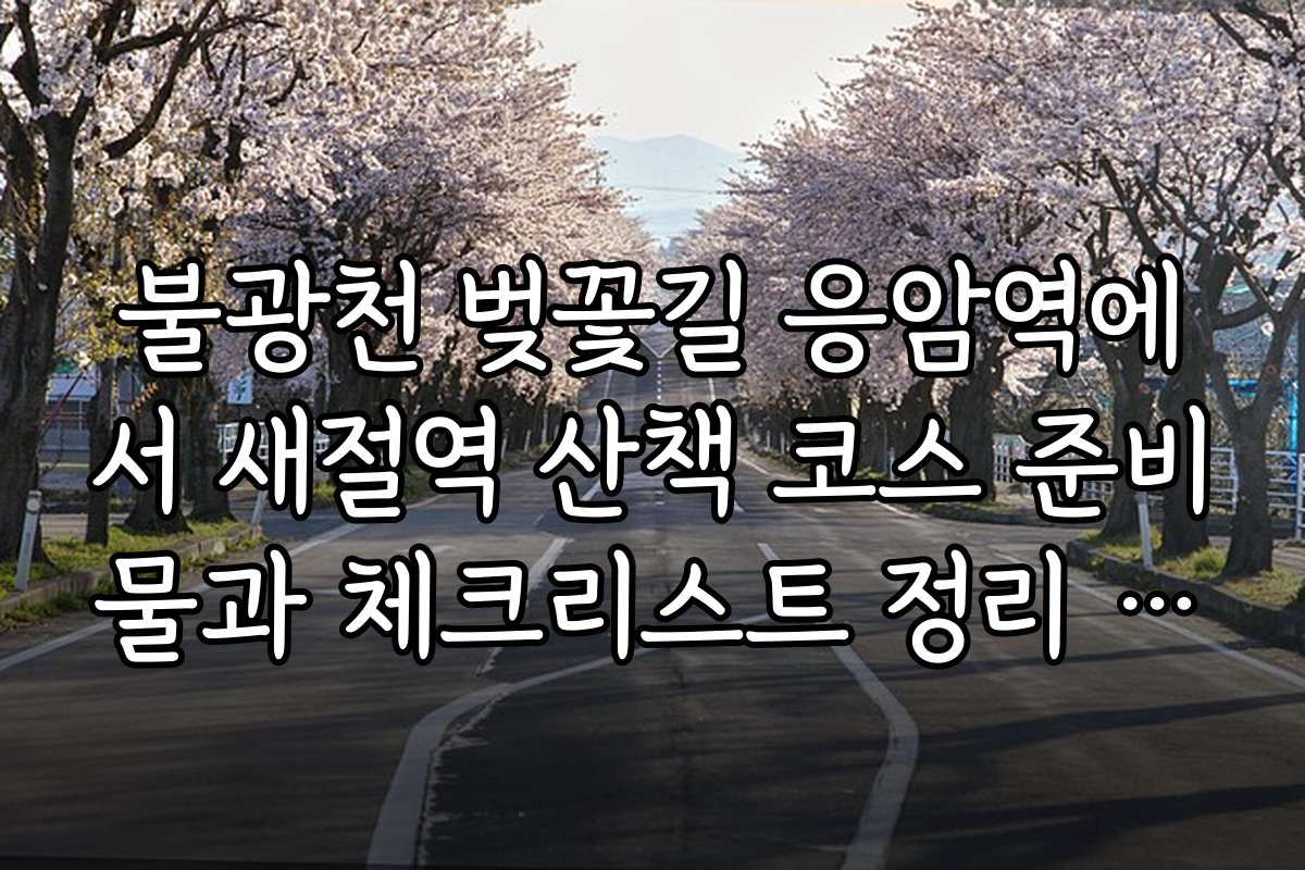 불광천 벚꽃길 응암역에서 새절역 산책 코스 준비물과 체크리스트 정리 방법