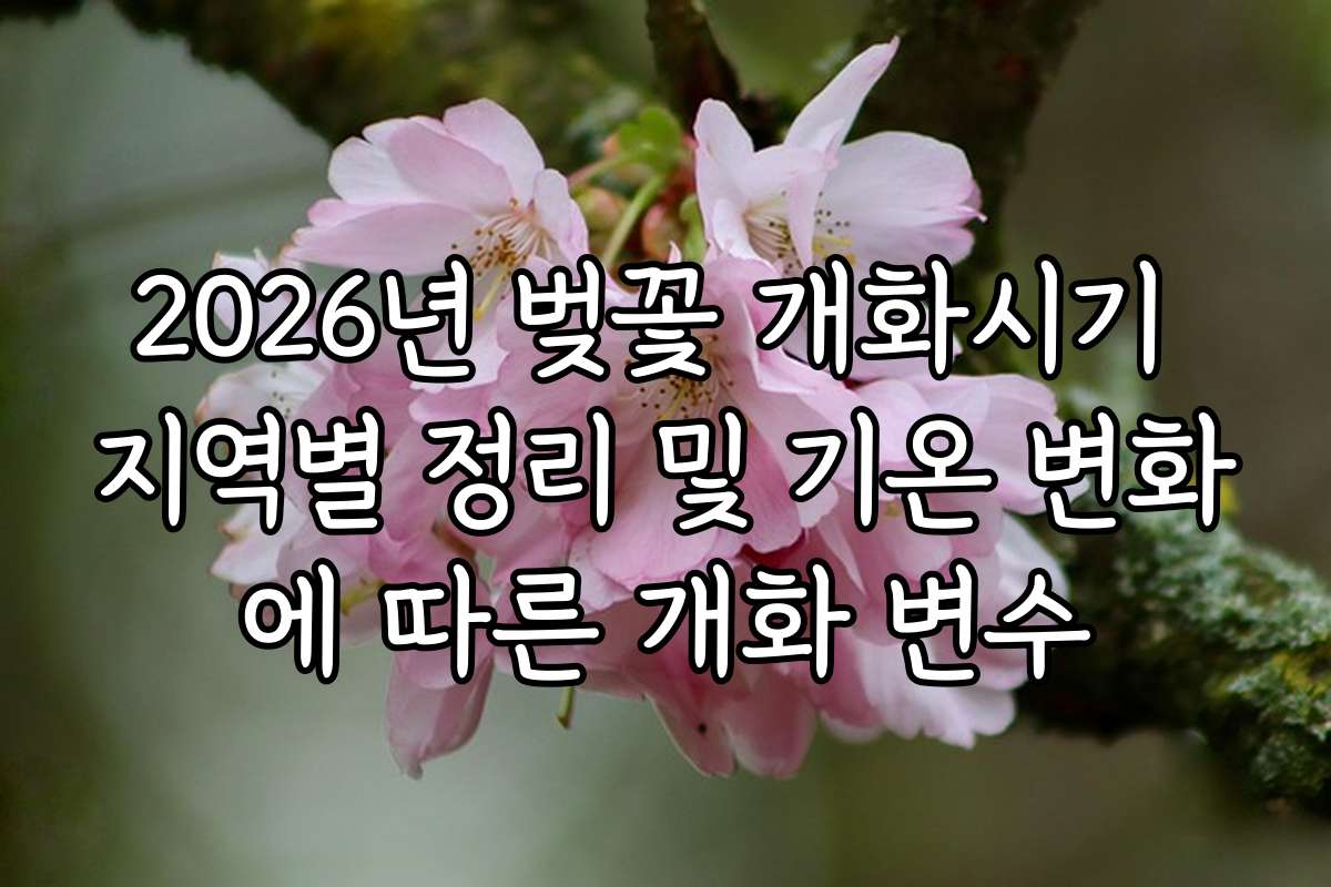2026년 벚꽃 개화시기 지역별 정리 및 기온 변화에 따른 개화 변수