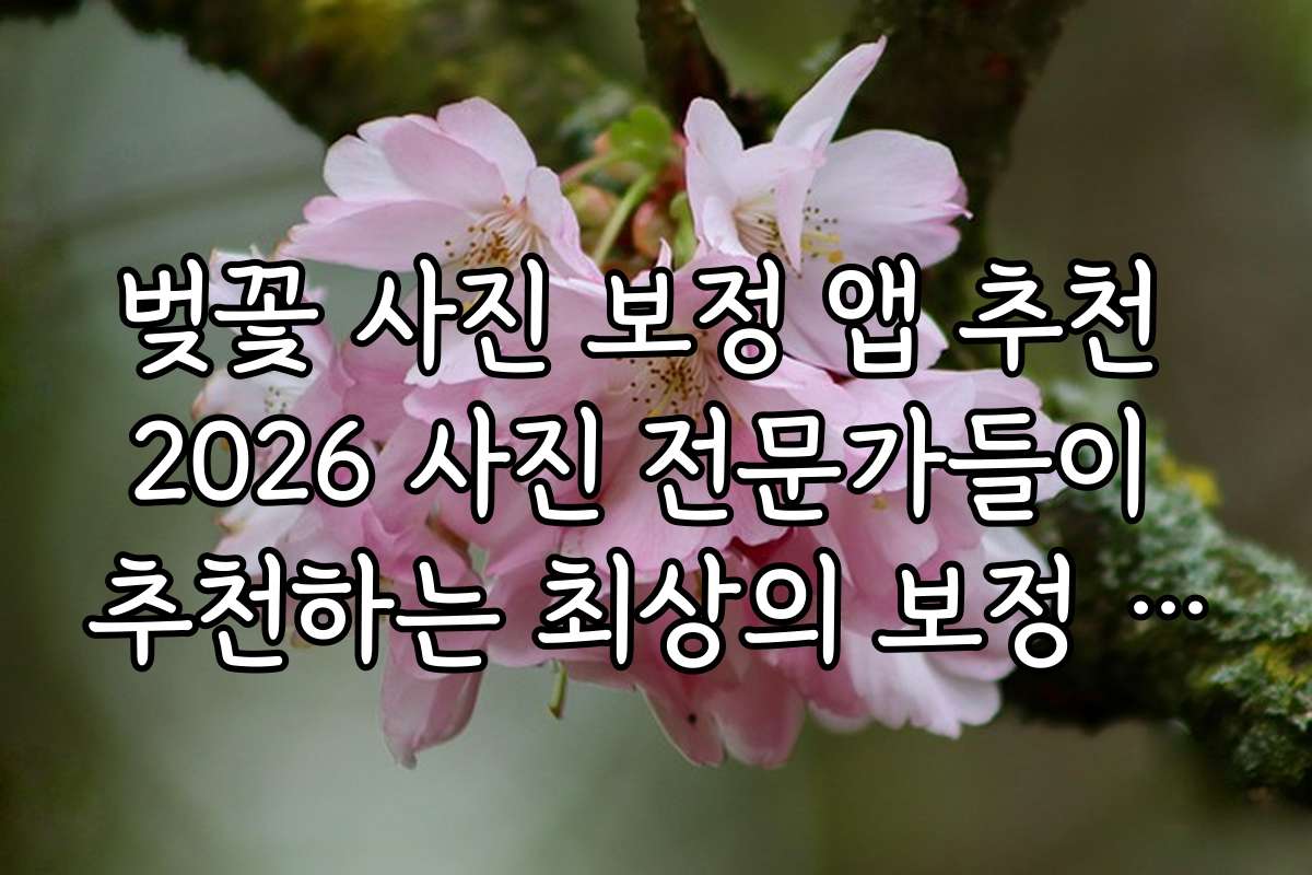 벚꽃 사진 보정 앱 추천 2026 사진 전문가들이 추천하는 최상의 보정 앱 리스트