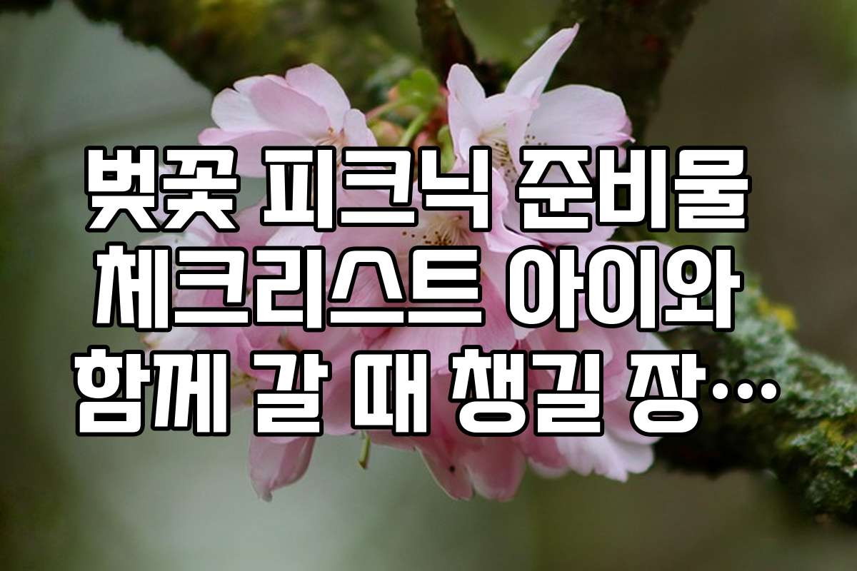 벚꽃 피크닉 준비물 체크리스트 아이와 함께 갈 때 챙길 장난감