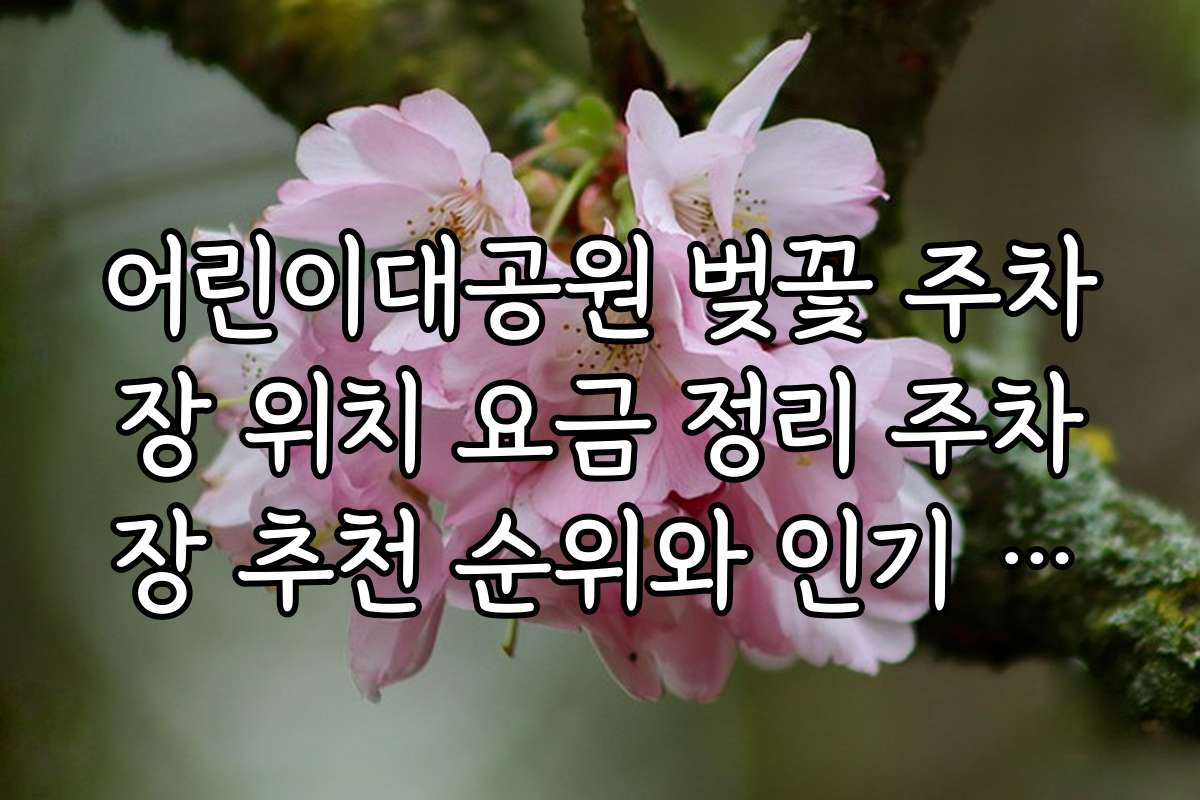 어린이대공원 벚꽃 주차장 위치 요금 정리 주차장 추천 순위와 인기 비결