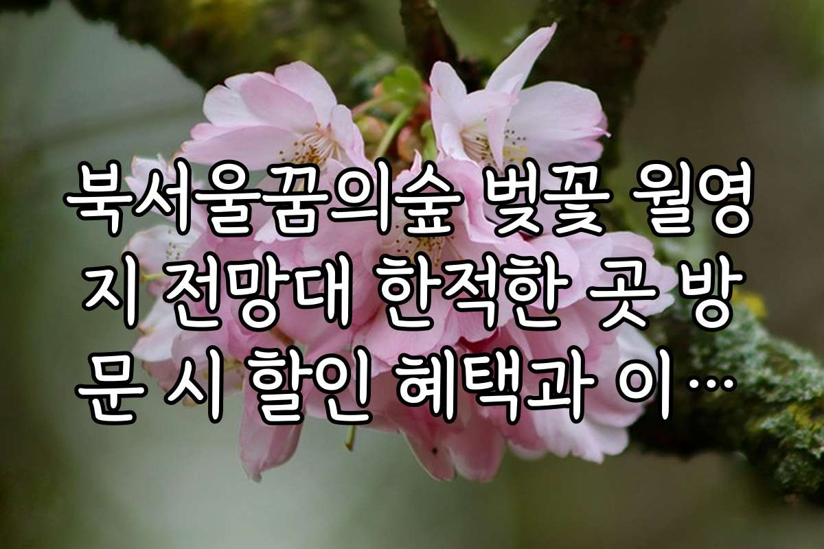 북서울꿈의숲 벚꽃 월영지 전망대 한적한 곳 방문 시 할인 혜택과 이벤트 정보 모음