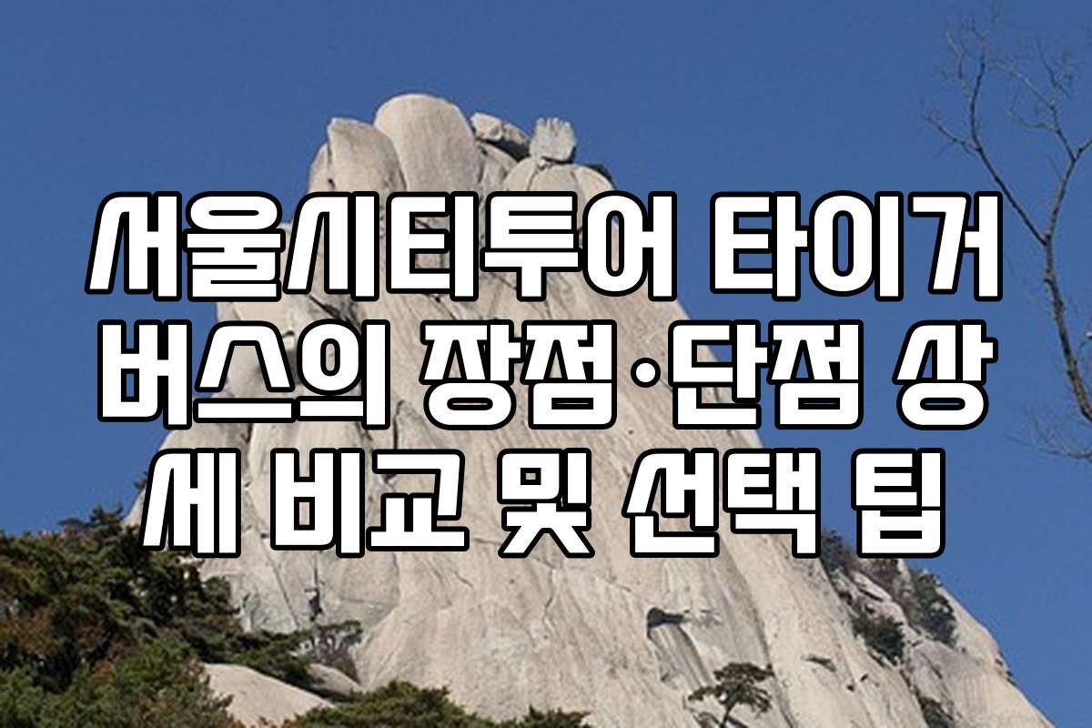 서울시티투어 타이거버스의 장점&middot;단점 상세 비교 및 선택 팁
