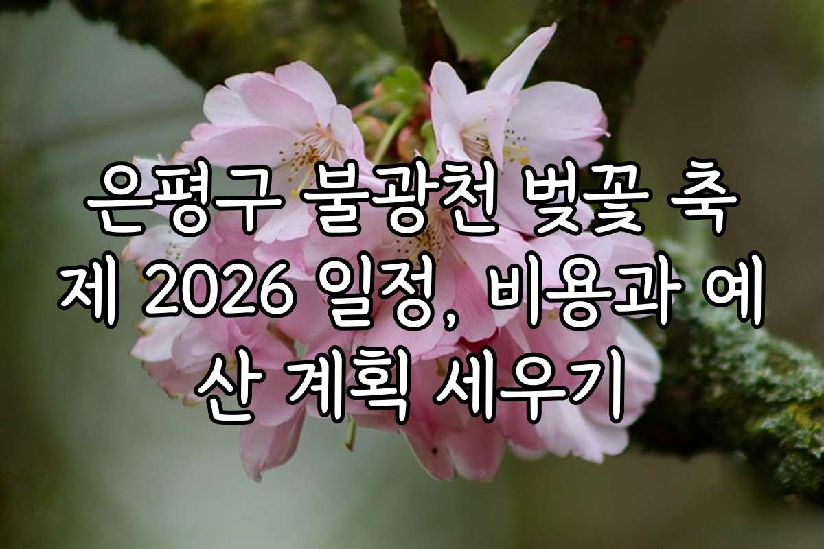 은평구 불광천 벚꽃 축제 2026 일정, 비용과 예산 계획 세우기