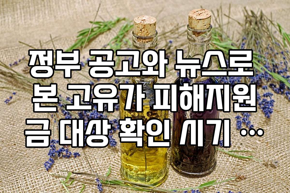 정부 공고와 뉴스로 본 고유가 피해지원금 대상 확인 시기 전망