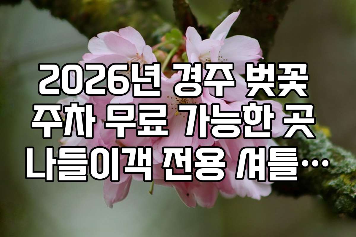 2026년 경주 벚꽃 주차 무료 가능한 곳 나들이객 전용 셔틀 주차장