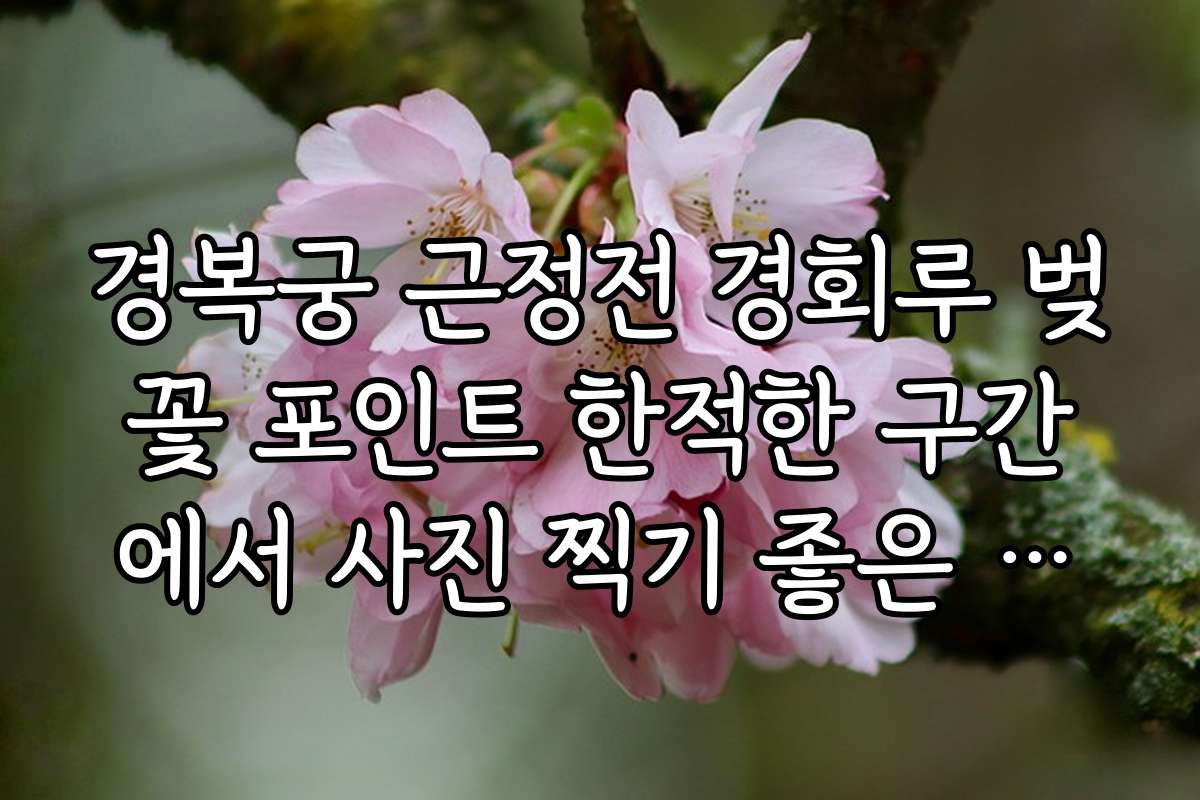 경복궁 근정전 경회루 벚꽃 포인트 한적한 구간에서 사진 찍기 좋은 명소 추천
