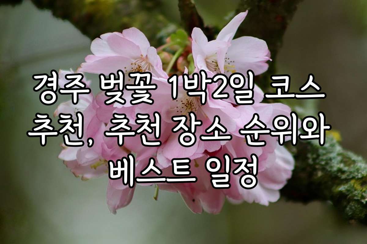경주 벚꽃 1박2일 코스 추천, 추천 장소 순위와 베스트 일정