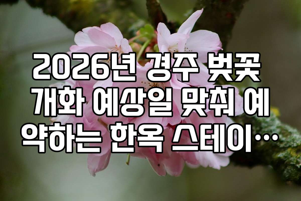 2026년 경주 벚꽃 개화 예상일 맞춰 예약하는 한옥 스테이 정보