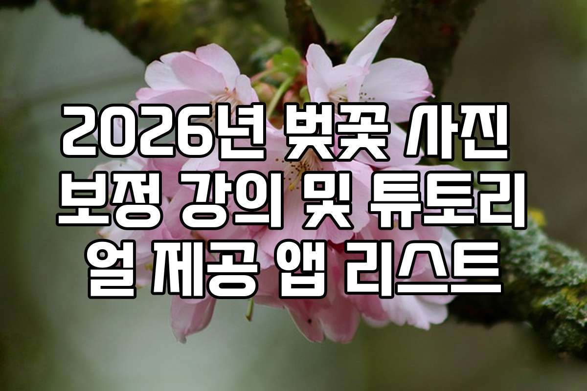 2026년 벚꽃 사진 보정 강의 및 튜토리얼 제공 앱 리스트