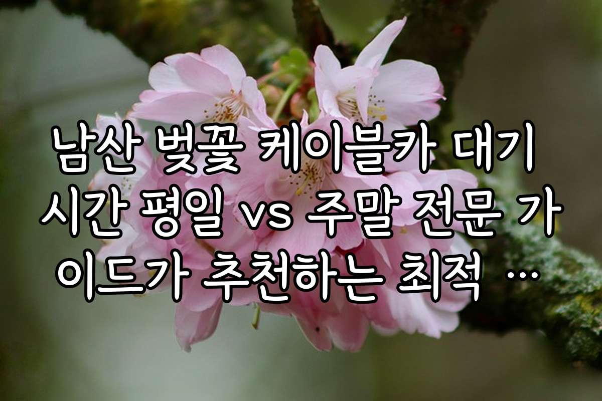 남산 벚꽃 케이블카 대기 시간 평일 vs 주말 전문 가이드가 추천하는 최적 방문 방법과 팁