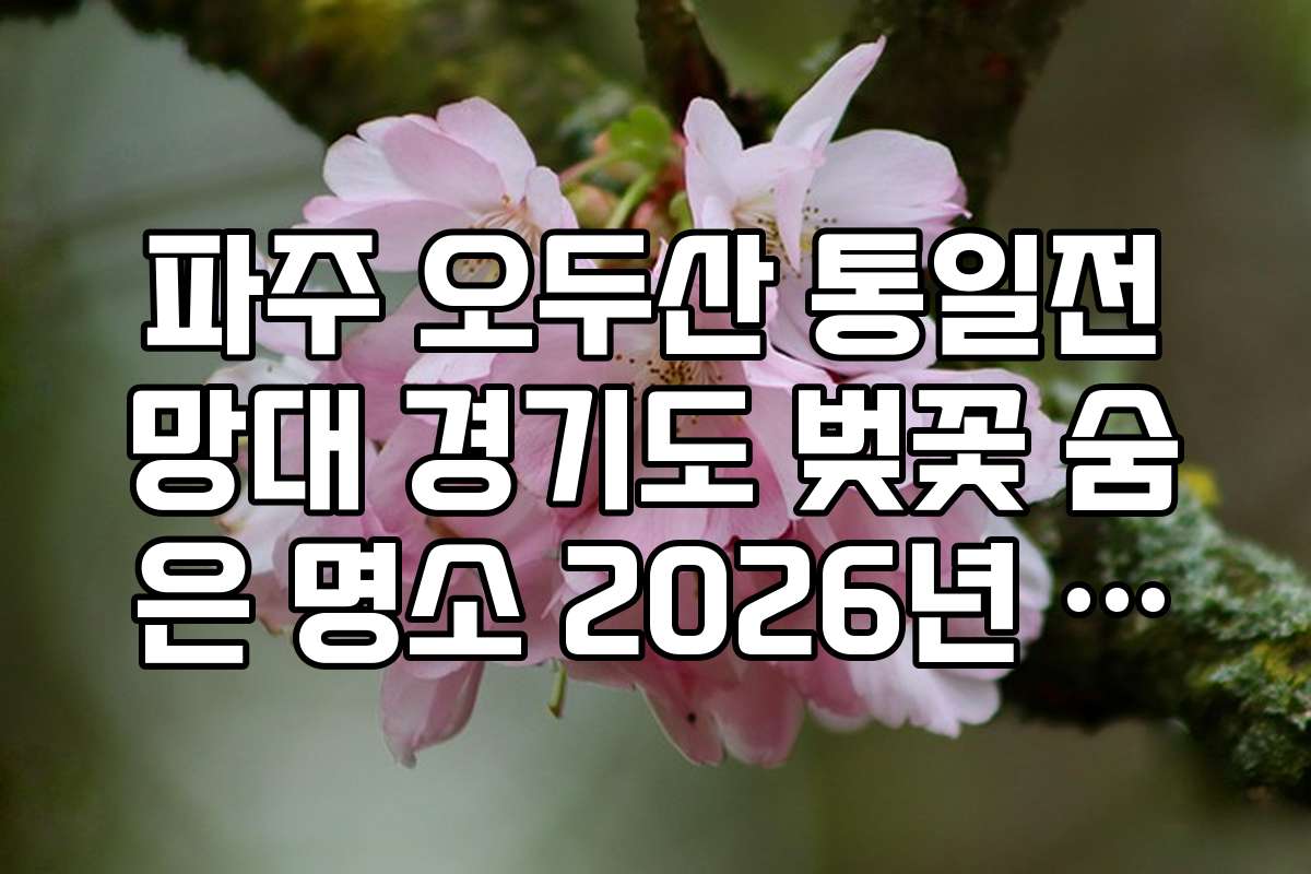 파주 오두산 통일전망대 경기도 벚꽃 숨은 명소 2026년 가이드