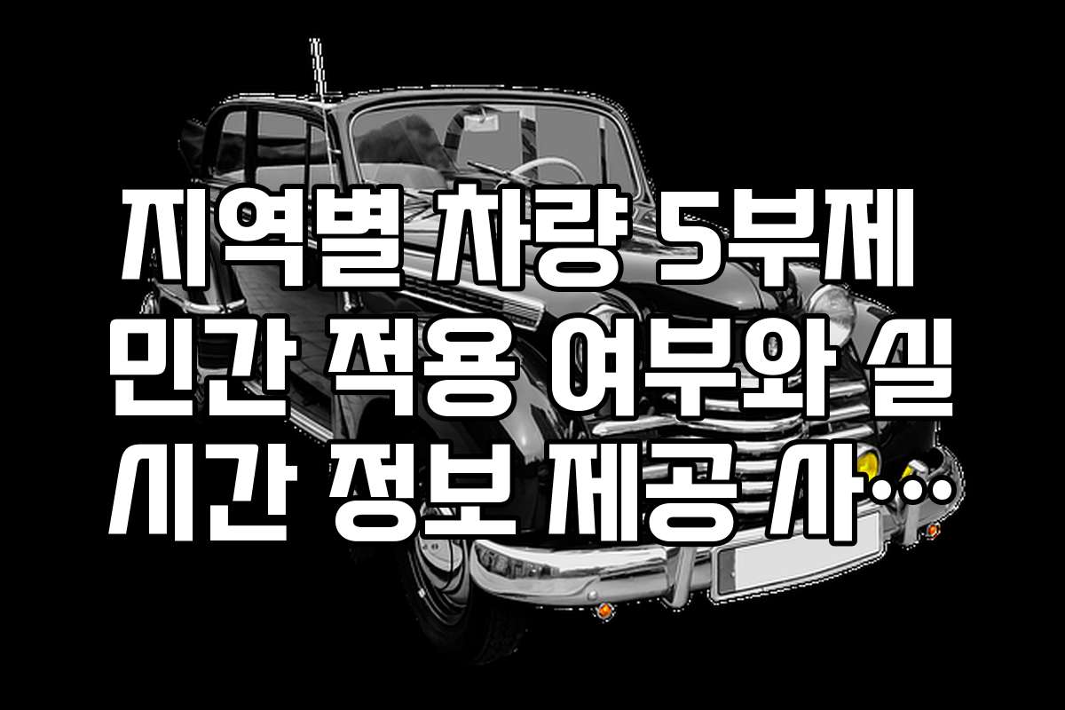 지역별 차량 5부제 민간 적용 여부와 실시간 정보 제공 사이트 추천