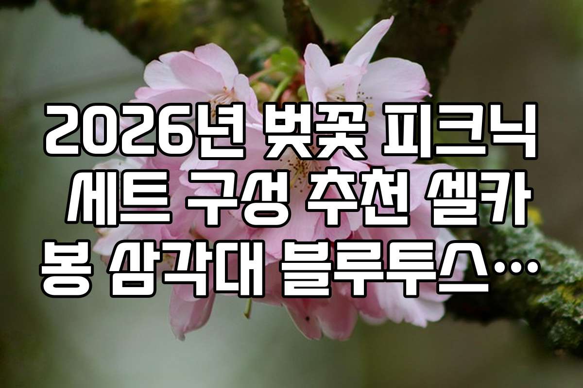 2026년 벚꽃 피크닉 세트 구성 추천 셀카봉 삼각대 블루투스 리모컨