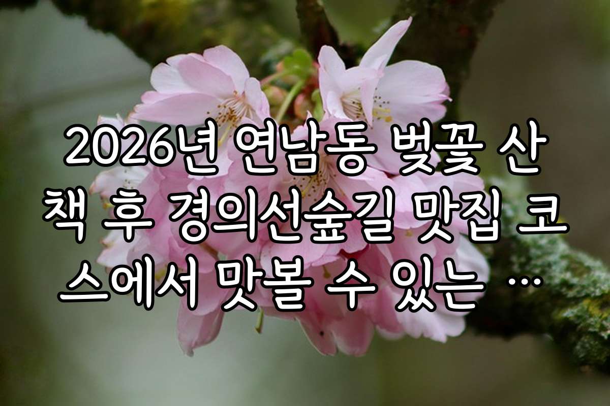 2026년 연남동 벚꽃 산책 후 경의선숲길 맛집 코스에서 맛볼 수 있는 계절별 추천 메뉴와 특징 2026년 연남동 벚꽃 산책 후 경의선숲길 맛집 코스에서 맛볼 수 있는 계절별 추천 메뉴와 특징