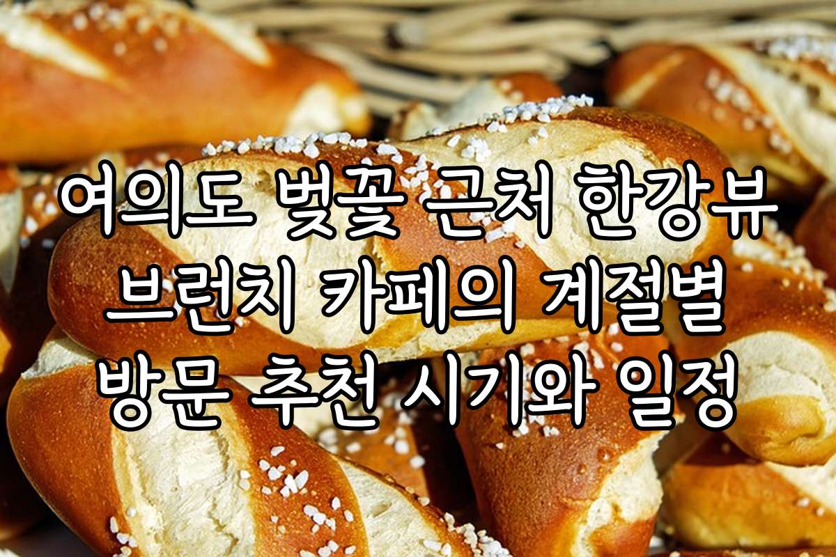 여의도 벚꽃 근처 한강뷰 브런치 카페의 계절별 방문 추천 시기와 일정
