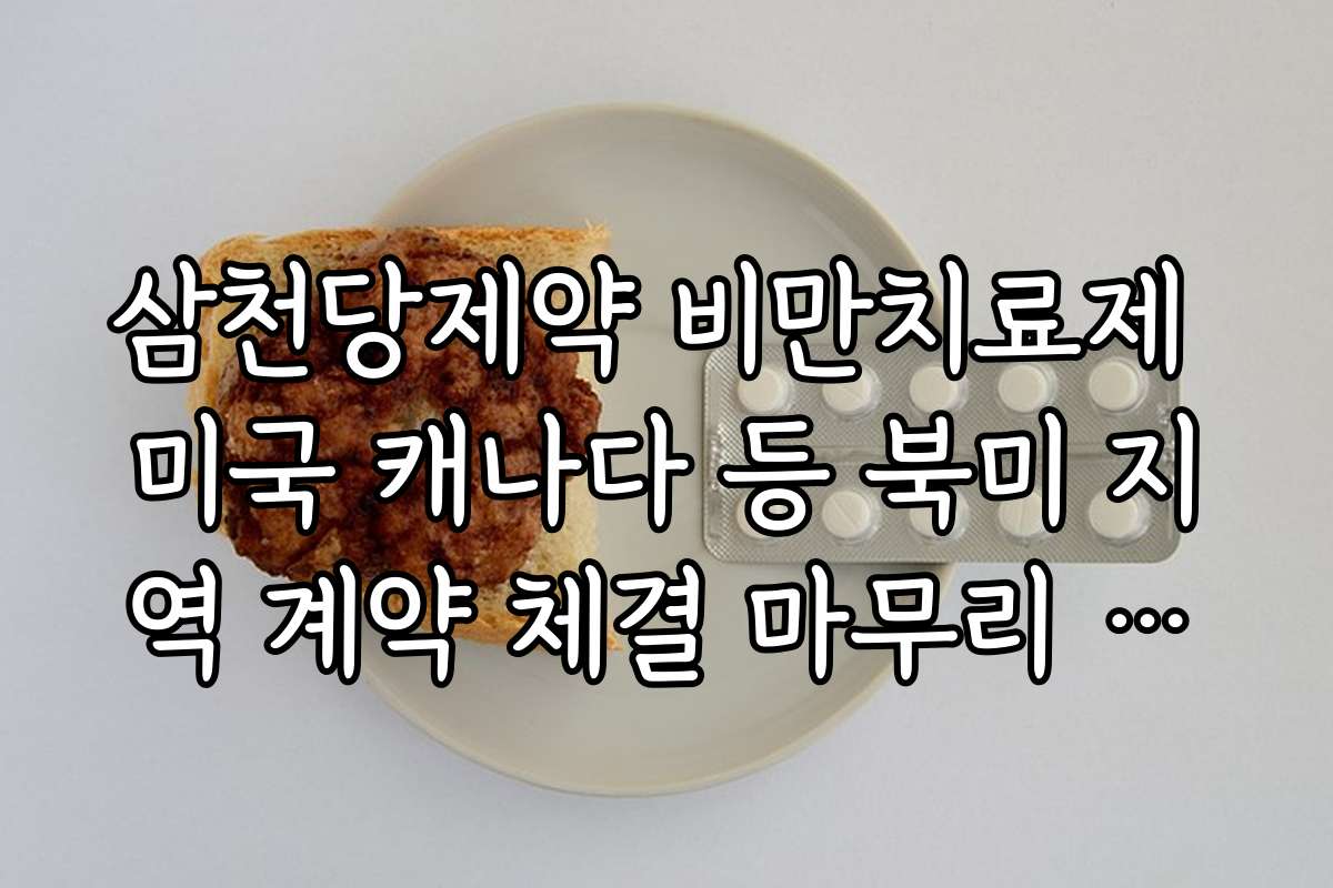 삼천당제약 비만치료제 미국 캐나다 등 북미 지역 계약 체결 마무리 단계 확인 삼천당제약 비만치료제 미국 캐나다 등 북미 지역 계약 체결 마무리 단계 확인