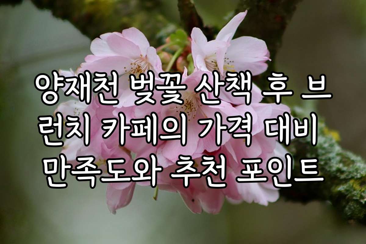 양재천 벚꽃 산책 후 브런치 카페의 가격 대비 만족도와 추천 포인트