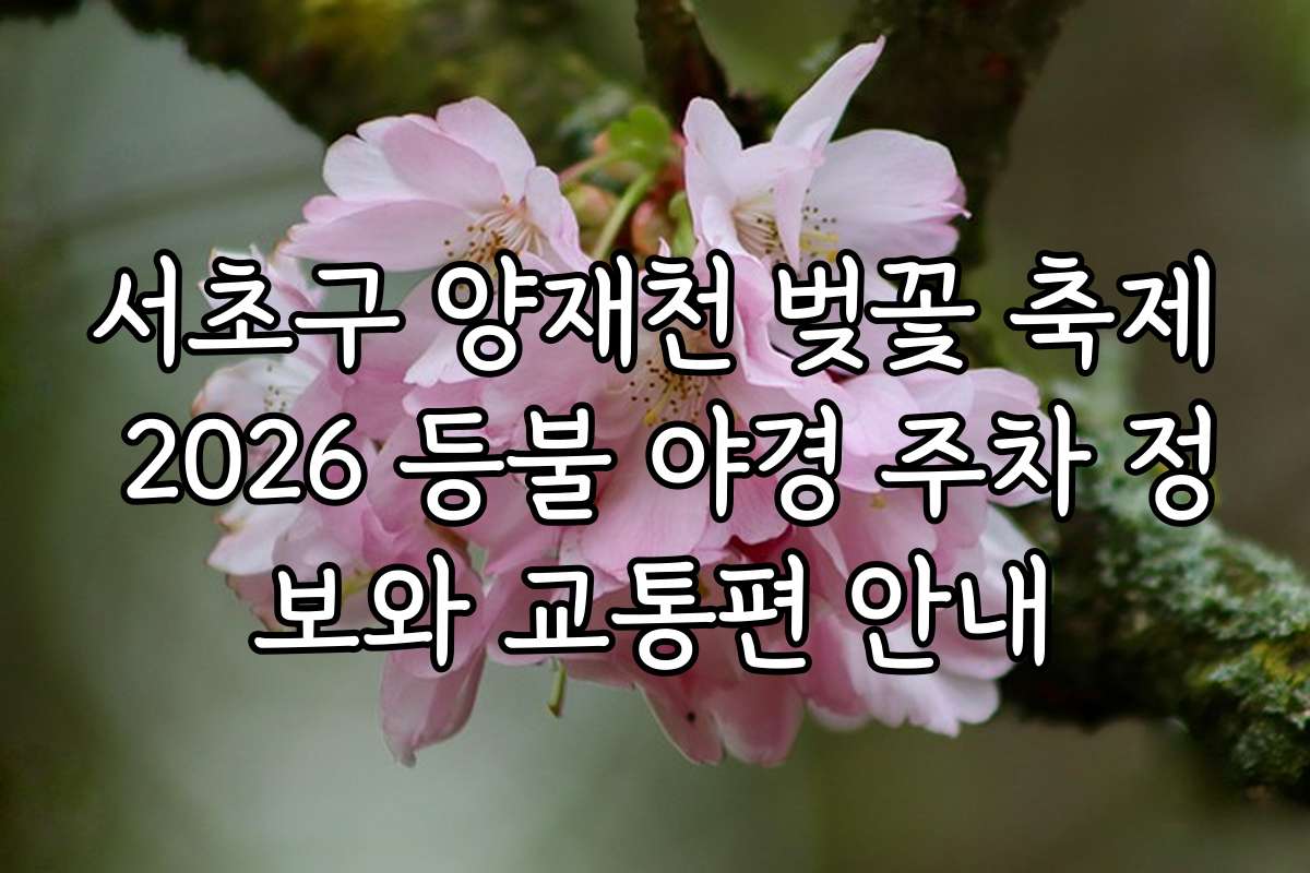 서초구 양재천 벚꽃 축제 2026 등불 야경 주차 정보와 교통편 안내