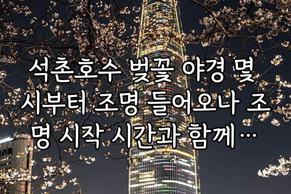 석촌호수 벚꽃 야경 몇 시부터 조명 들어오나 조명 시작 시간과 함께하는 야경 명소 비교 분석