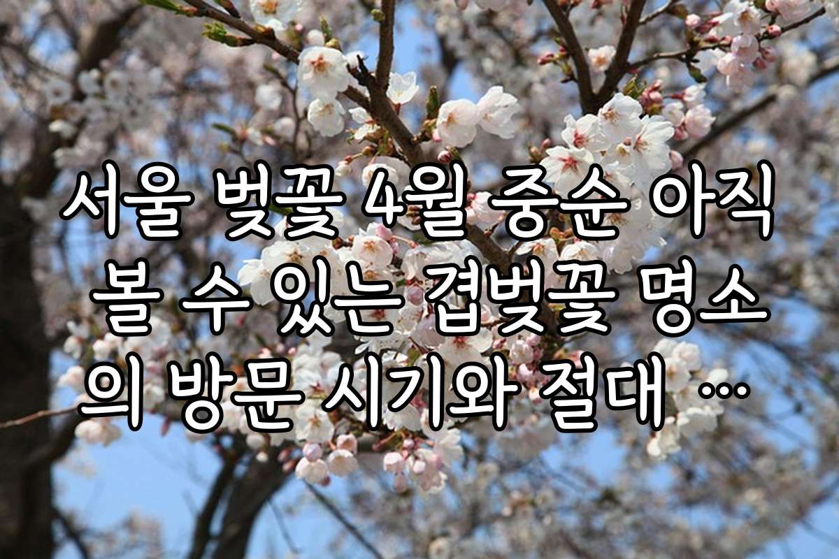 서울 벚꽃 4월 중순 아직 볼 수 있는 겹벚꽃 명소의 방문 시기와 절대 놓치지 말아야 할 일정 서울 벚꽃 4월 중순 아직 볼 수 있는 겹벚꽃 명소의 방문 시기와 절대 놓치지 말아야 할 일정