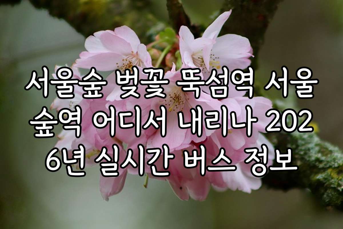 서울숲 벚꽃 뚝섬역 서울숲역 어디서 내리나 2026년 실시간 버스 정보