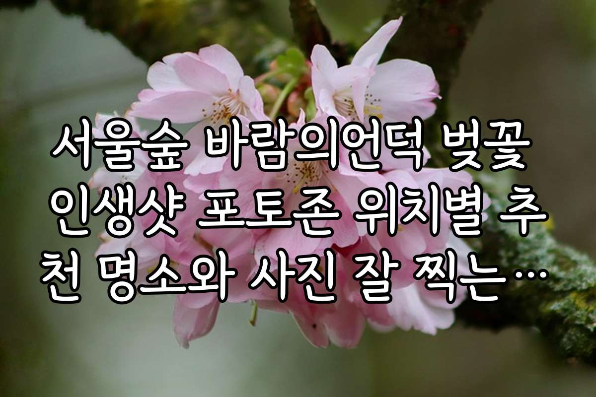 서울숲 바람의언덕 벚꽃 인생샷 포토존 위치별 추천 명소와 사진 잘 찍는 팁